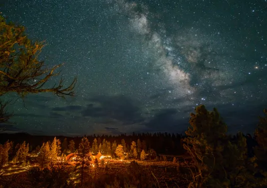 Forest with orange tents with bright stars in the sky