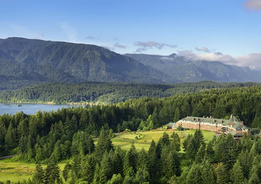 Landscape with pine trees and mountain in the background
