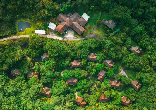 Top view of mini villas within a large forest