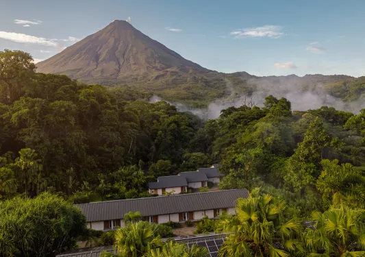 Villa buildings surrounded by tall trees and fog, with a mountain in the distance