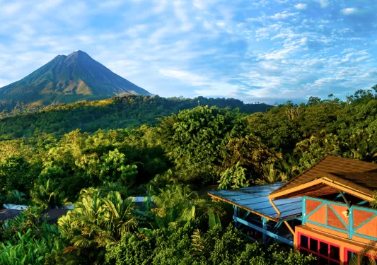 Orange building on the bottom right surrounded by a vast forest
