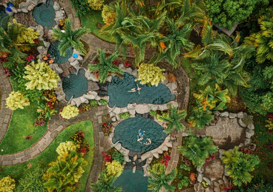 5 mini outdoor pools with people swimming inside of each pool, surrounded by tall palm trees