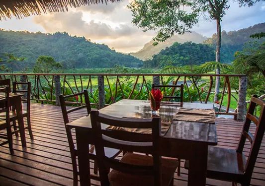 dining table on the patio