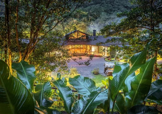Outdoor view of hotel with indoor lights on, surrounded by plants