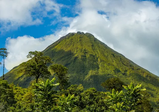 Tall hill covered in grass, with trees on the ground level