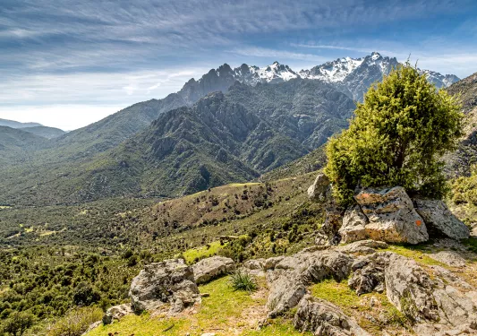 Grassy, rock covered hill with large mountains in the distance
