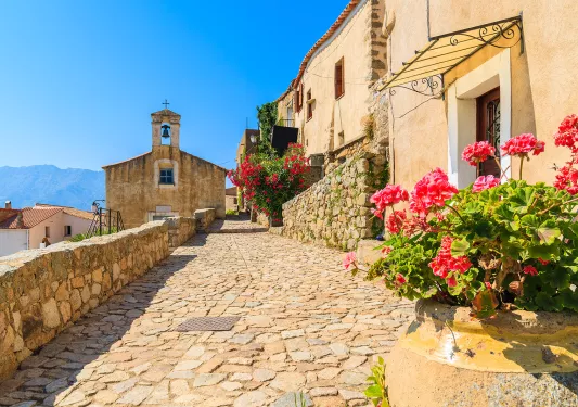 Stone walkway with pots filled with plants and a church building in the distance