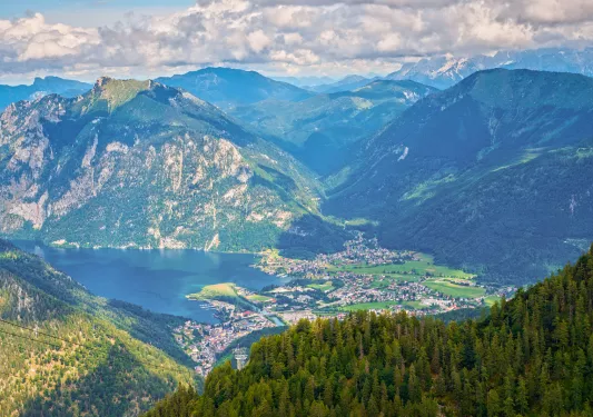 Mountainside shot of a forest and town in the distance