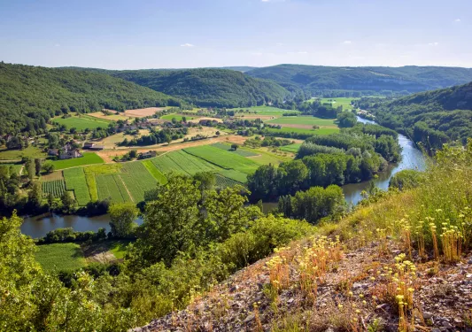 top view of crop fields