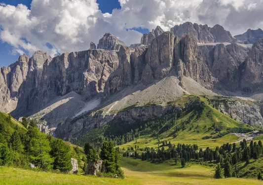 Grey mountains surrounded by greenery