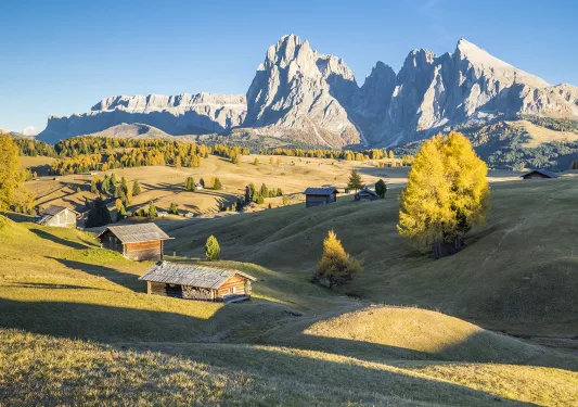 Green slopping hills in front of snowy mountains
