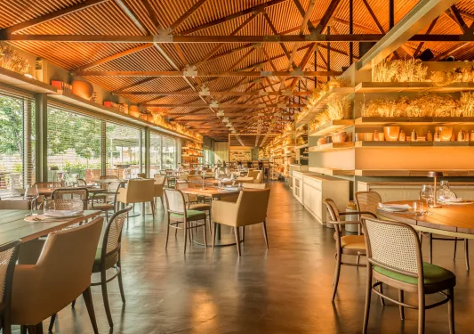 Indoor dining area with cushioned chairs and wooden tables