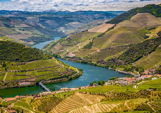 Top view of grassy fields with a river through the area