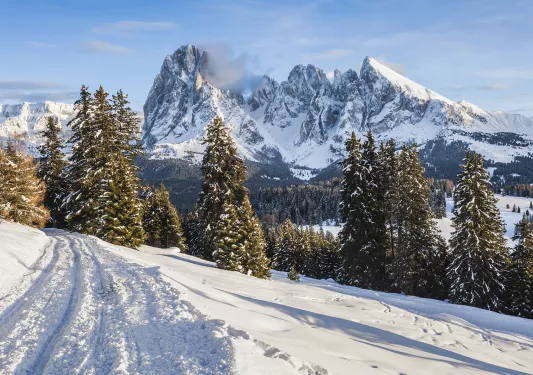 A snowed over path with trees and mountains in the background
