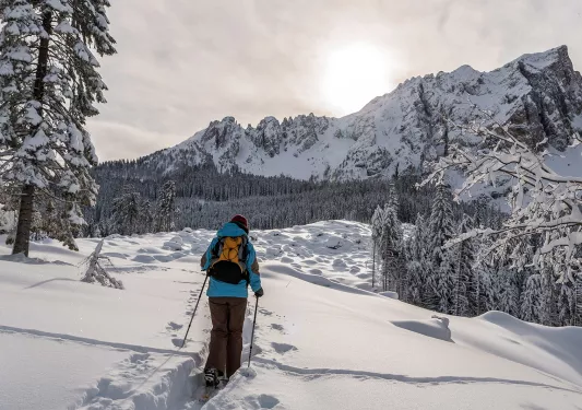 A person snowshoes down a path