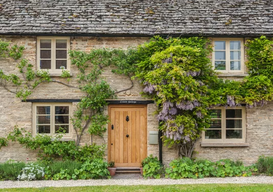 Outdoor view of a cottage with shrubs and plants outside