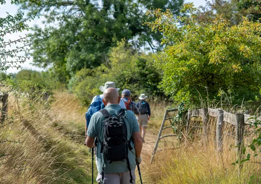 Group of people with walking sticks hiking on a trail