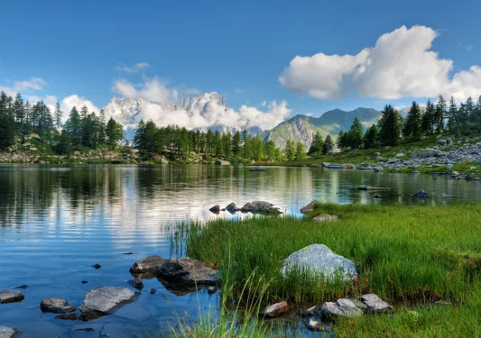 Lake surrounded by rocks, grass and trees