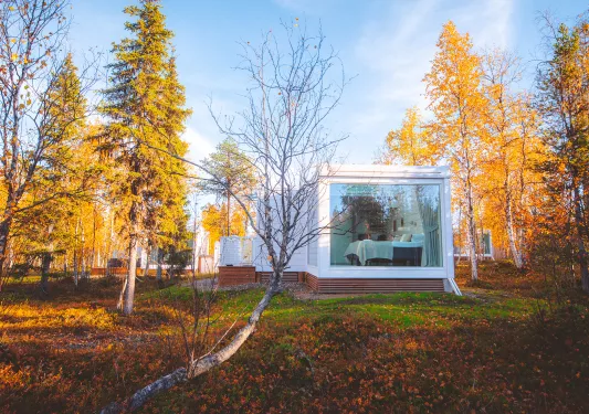 A white cube building in the woods