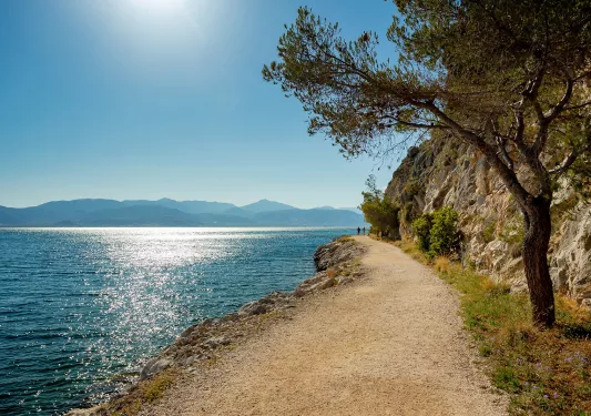 Gravel walkway next to the ocean