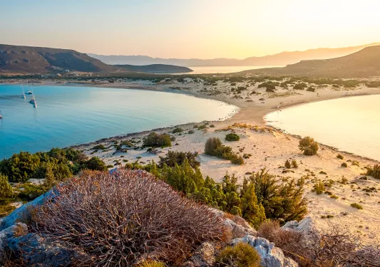 Two lakes with small shrubs and bushes in the sand