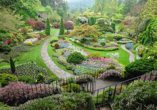 Outdoor garden full of flowers, trees and bushes