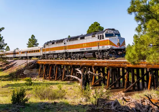 White and orange train running through a valley of tall grass