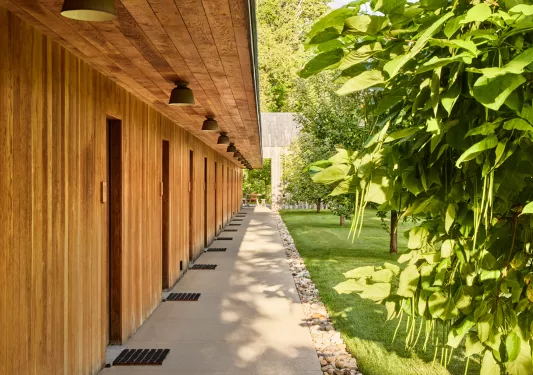 Walkway of hotel rooms surrounded by grass and tall plants
