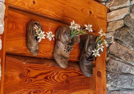 Three booths with flowers growing out of them