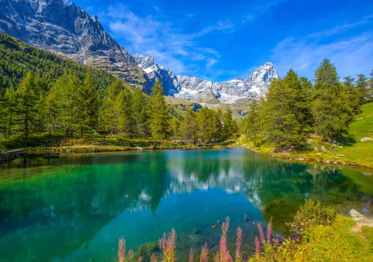 Large, blue lake surrounded by tall pine trees and mountains