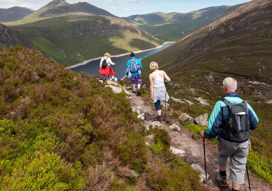 Four hikers with walking poles descending a grassy trail
