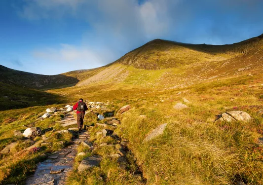 Person with a backpack hiking through a grassy valley
