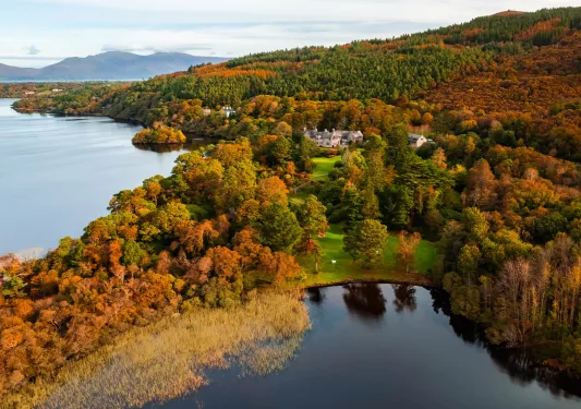 Green and orange trees along a lake