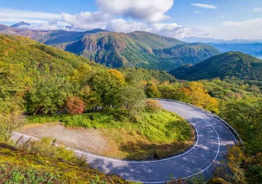 winding road through forested mountains