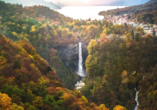 Colorful trees with a large waterfall in the middle