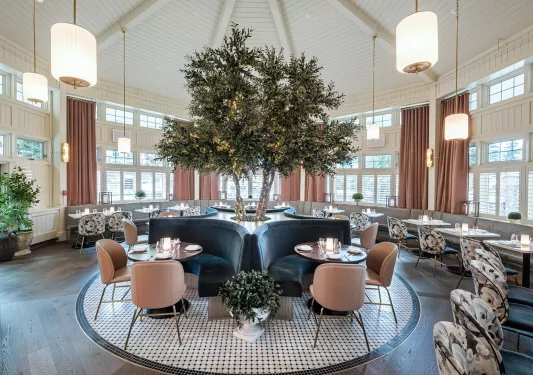 tree in the middle of the dining room