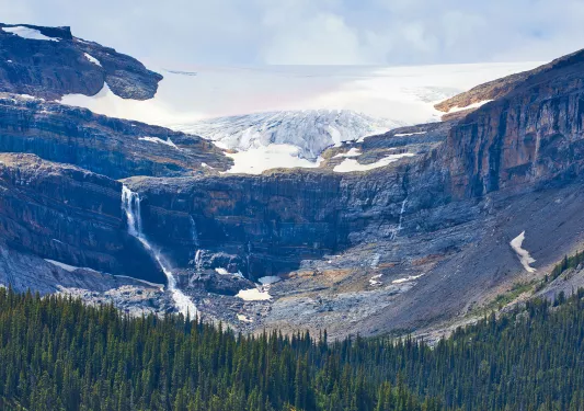 Snowcapped mountain in the distance with tall trees in the valley