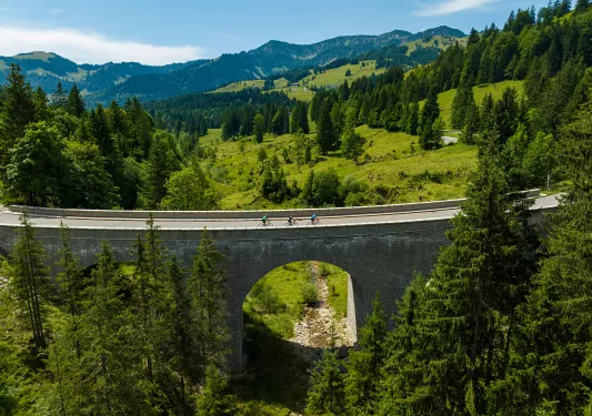 Tall bridge with an archway in the middle of a grassy field
