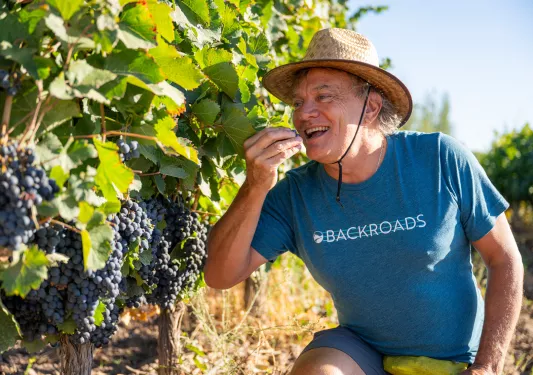 backroads guest tasting grapes from the vine