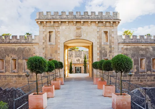 walkway lined with trees leading to entrance