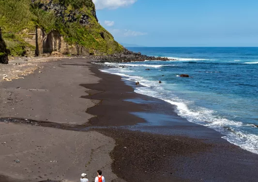 Two people walking on the beach, walking towards a grass-covered cliff
