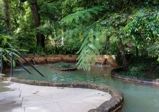 Outdoor pool surrounded by tropical trees and a stone barricade