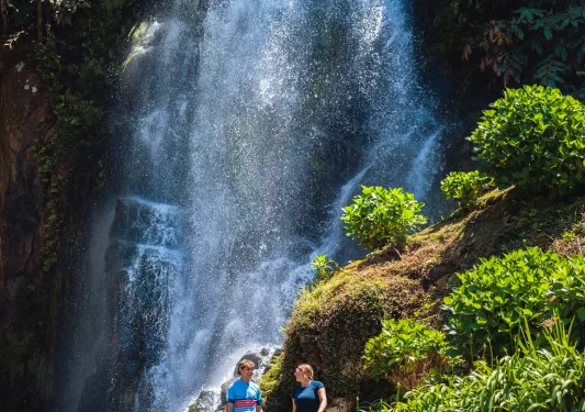 Man and woman standing in front of a waterfall, surrounded by green plants