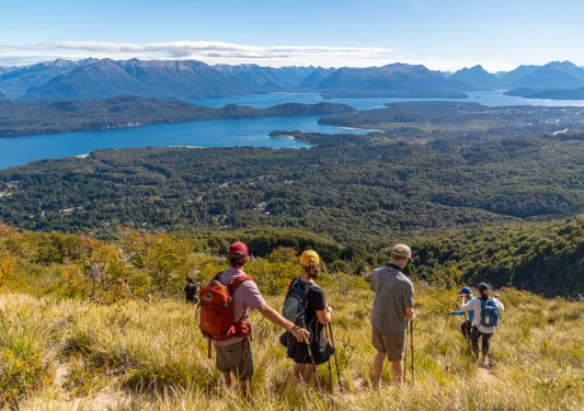 Group of people hiking down a hill full of tall weeds
