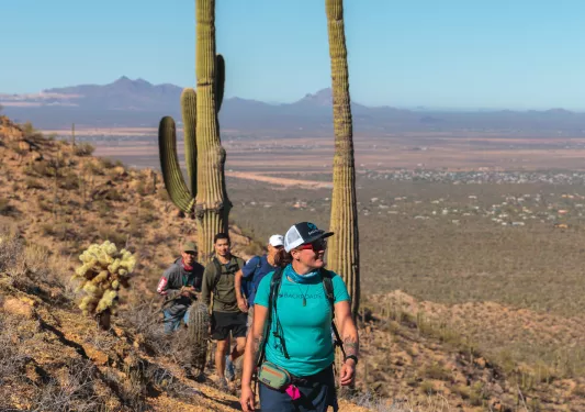 Group of people hiking a dirt trail with two large cacti behind them