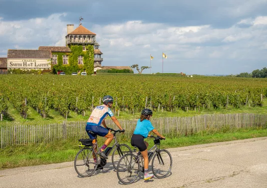backroads guests biking through vineyard