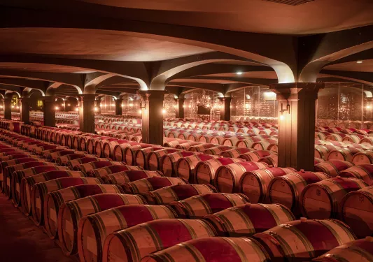 barrels in a wine cellar