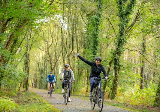 Backroads guests cycling through a canopy of trees