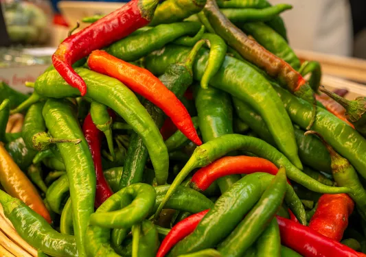 pile of peppers