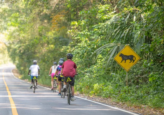 Group of bikers on the road passing by a sign of a lion